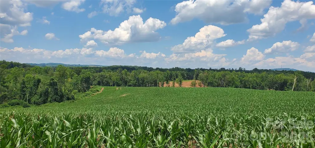 Picture 27