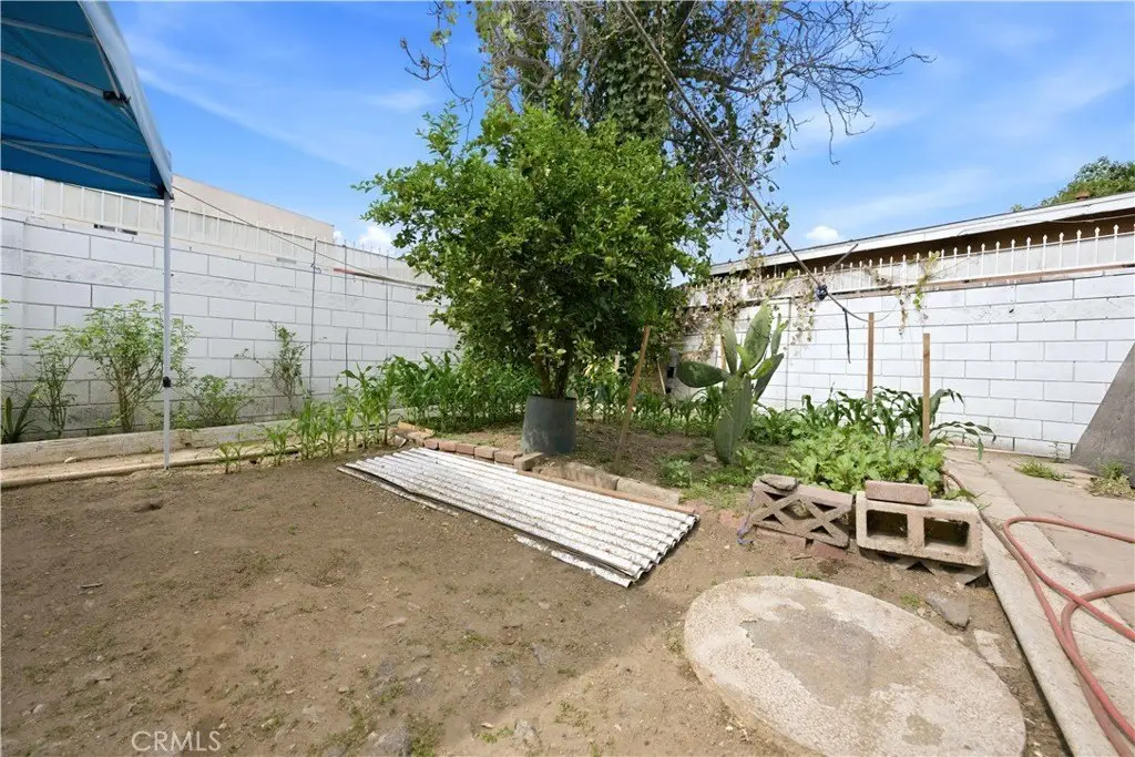 Picture 16
