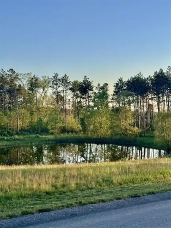 Picture 10