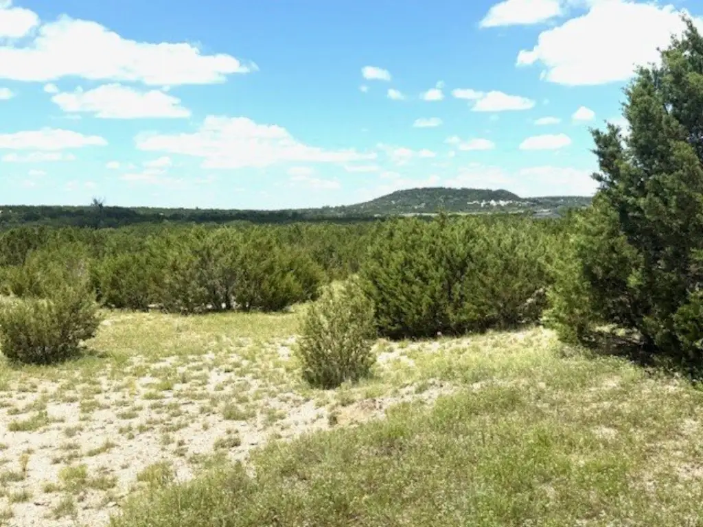 Picture 11