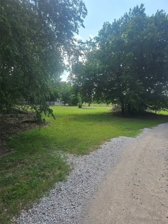 Picture 4