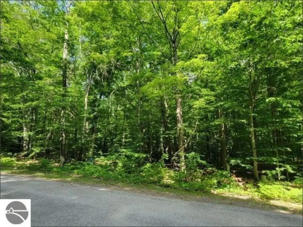 Picture 3