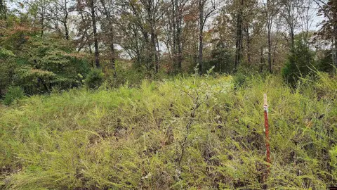 Flippin, AR Acreage Lot
