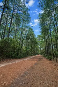 Unrestricted Acreage in Tyler County