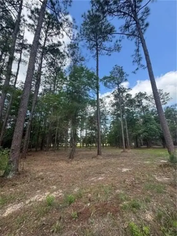 Picture 13