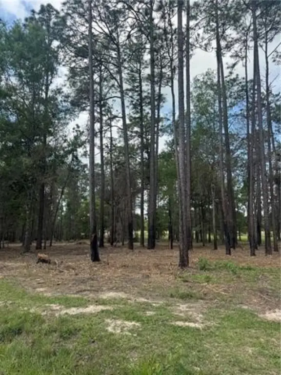 Picture 16