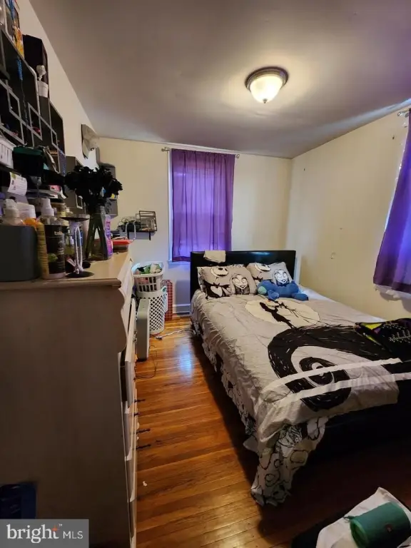Picture 11