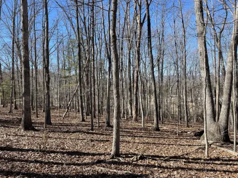 Natural Bridge Station Land Parcel