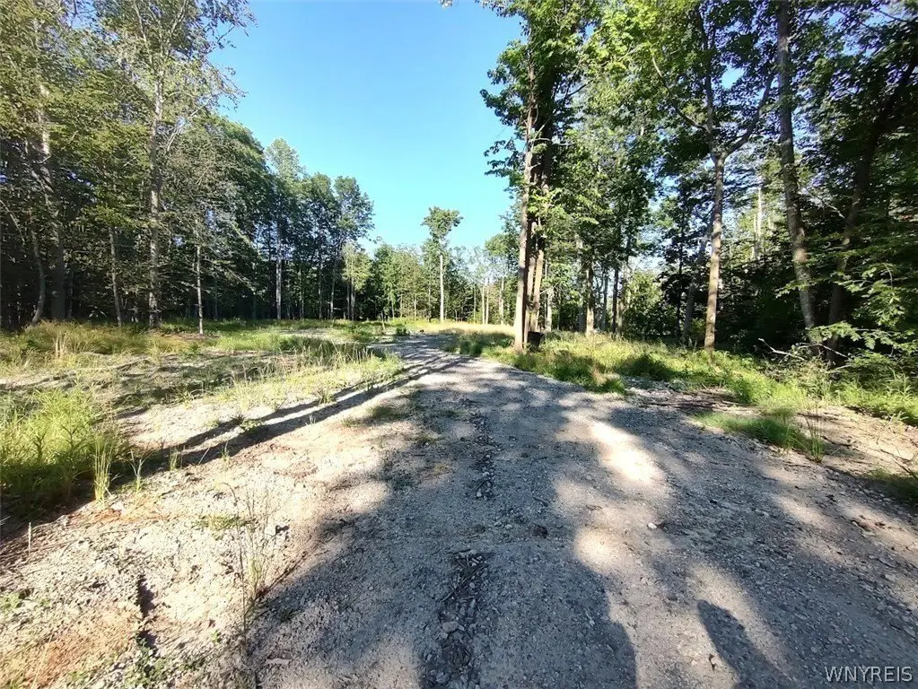 Picture 2