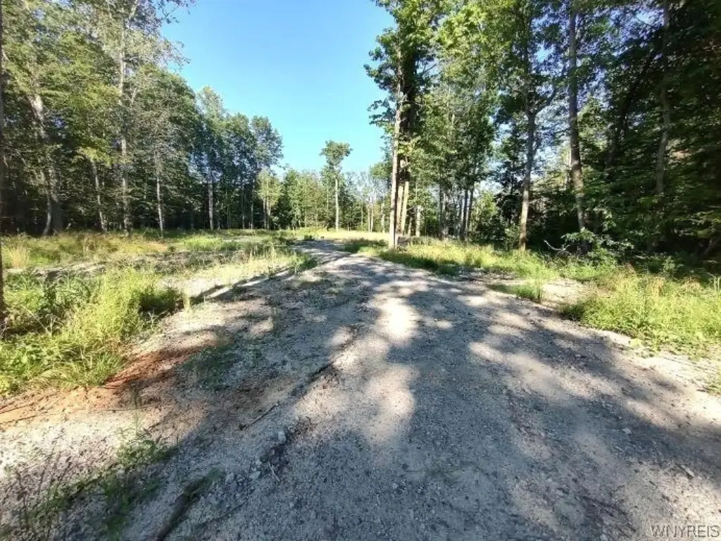 Picture 5