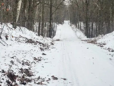 Rhinelander Land with Mature Oaks