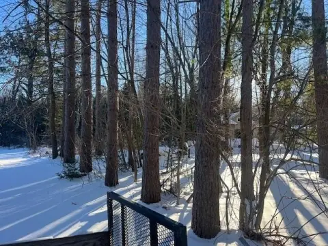 Wooded Lot Near Chain Lake