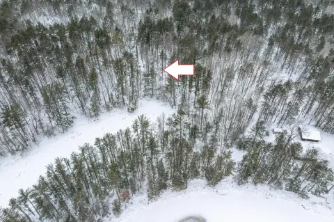 Eagle River Wooded Lakefront Land