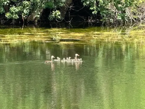 Round Top Farmhouse on 51 Acres
