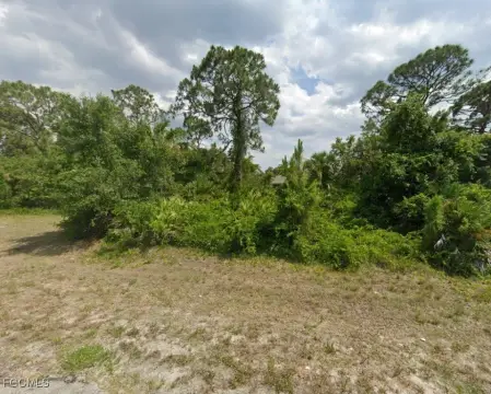 Residential Lot in Labelle, FL