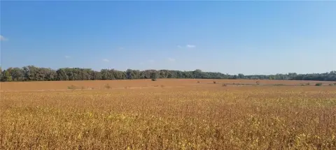 Close-In Acreage on Asphalt