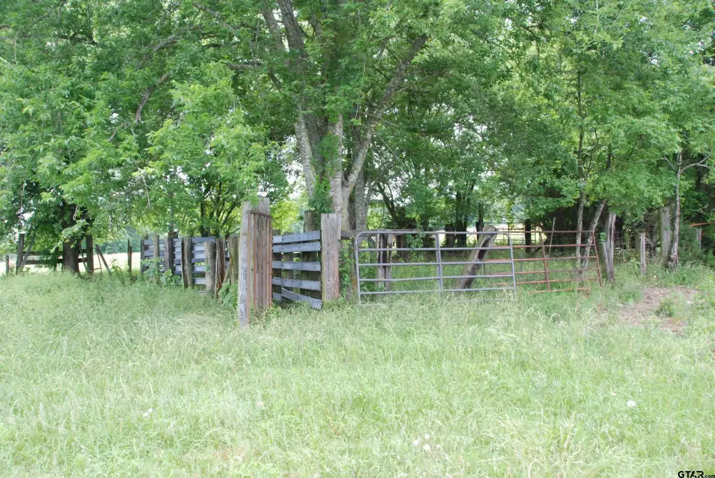 Picture 6