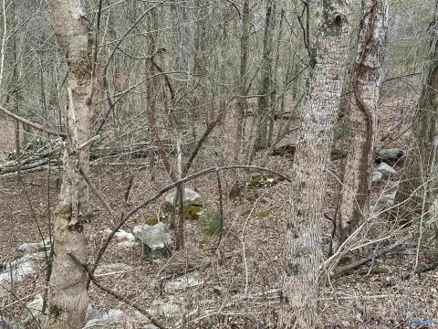 Residential Land in Legacy Preserve