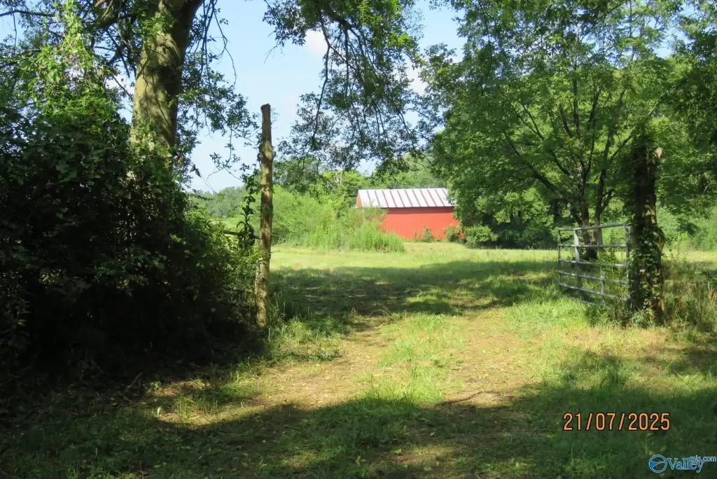 Picture 9