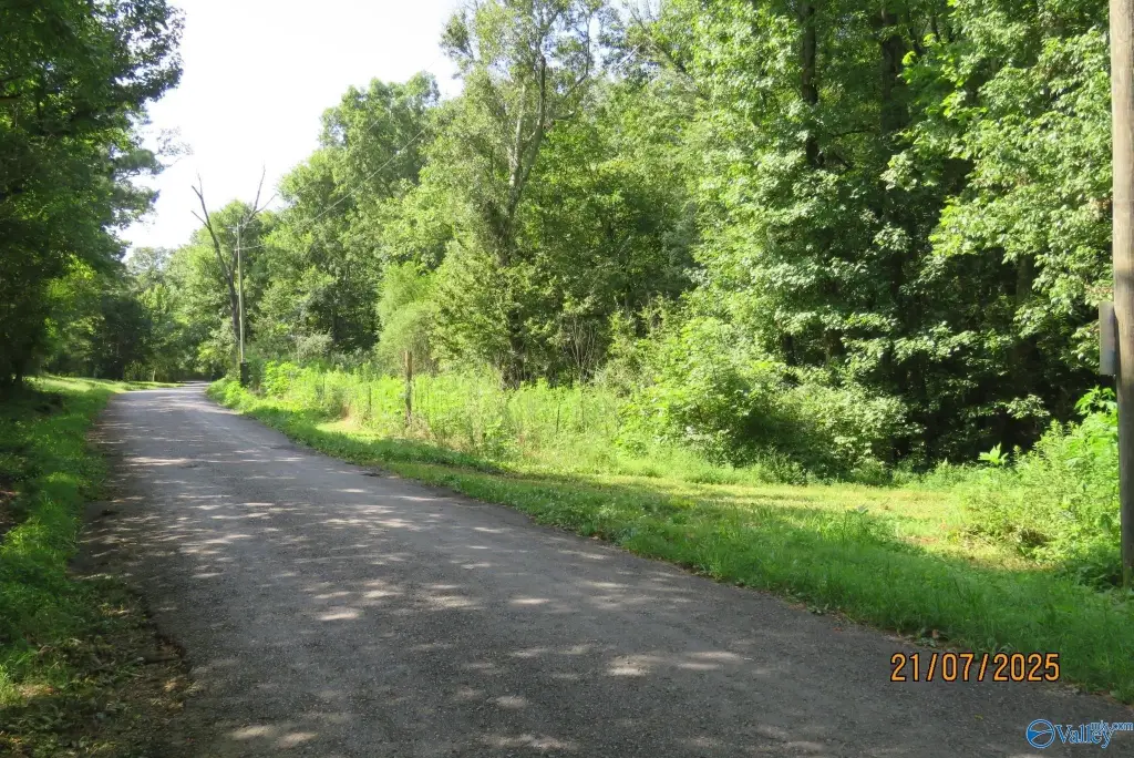 Picture 12
