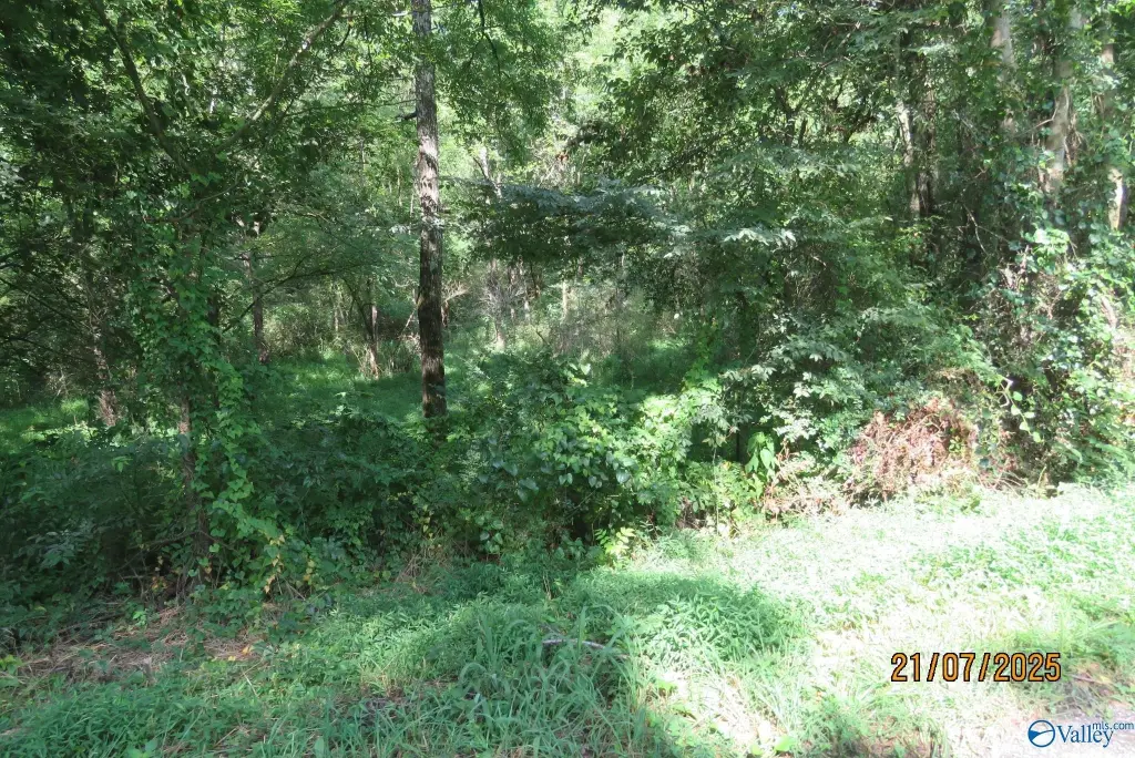 Picture 4