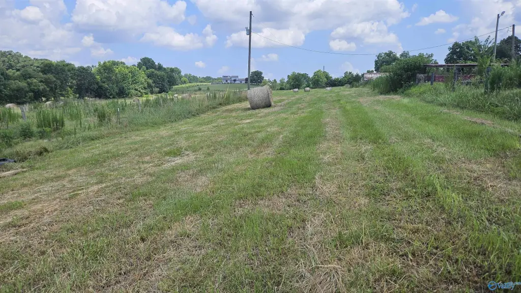 Picture 14