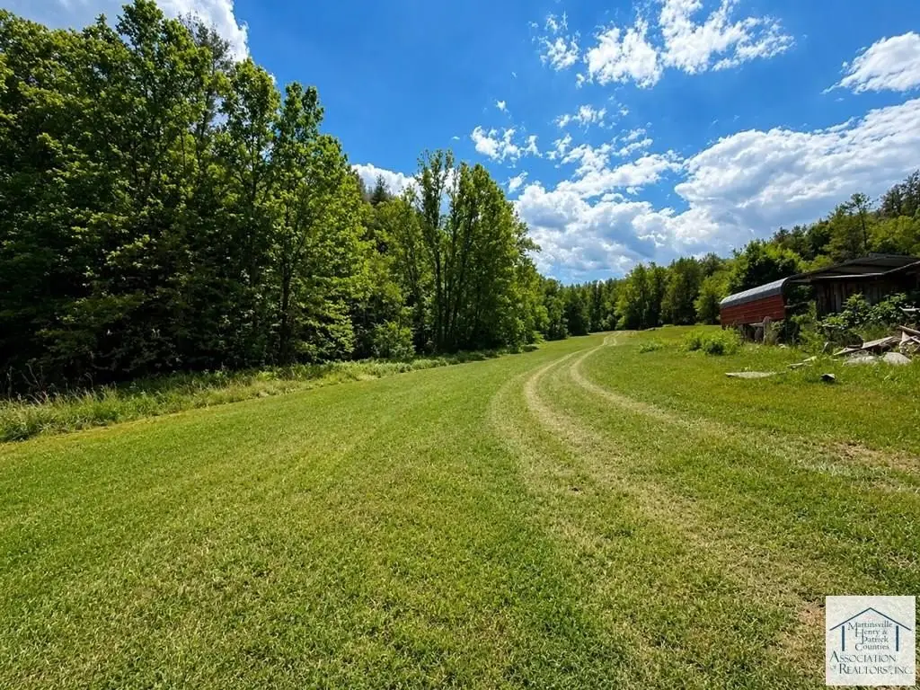 Picture 8