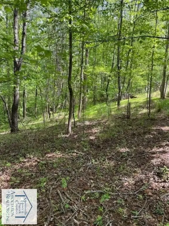 Picture 8