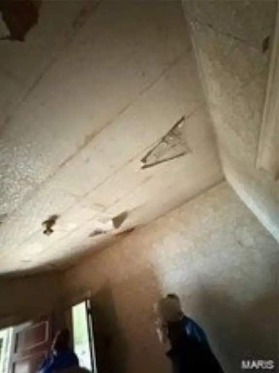 Picture 27