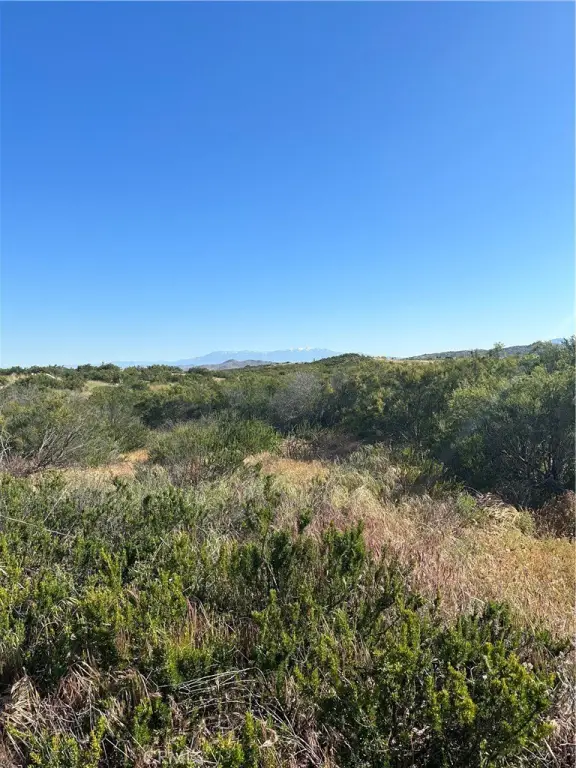 Picture 26