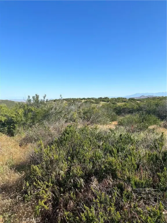 Picture 25