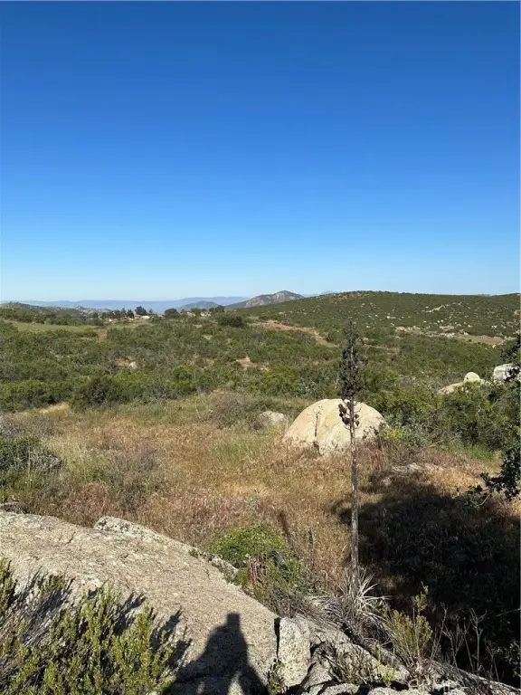 Picture 27