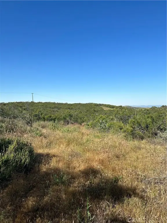 Picture 20