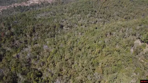 Salesville Wooded Land Opportunity