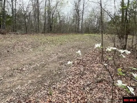 Scenic Highway Frontage Land