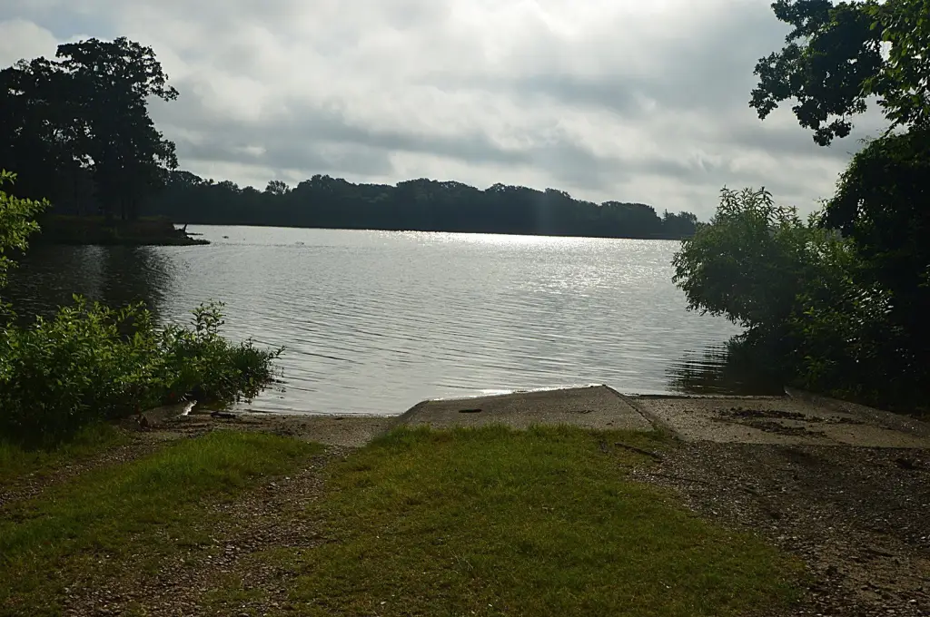 Picture 5