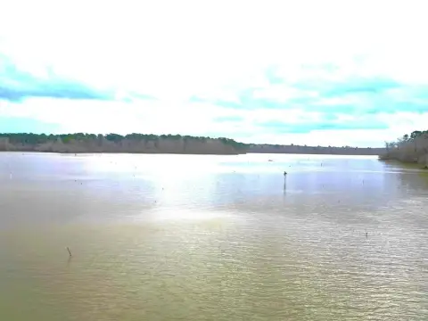 Unrestricted Toledo Bend Waterfront Acres