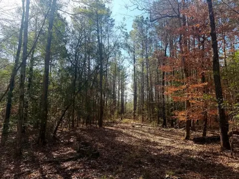 39 Acres Near Lake Sam