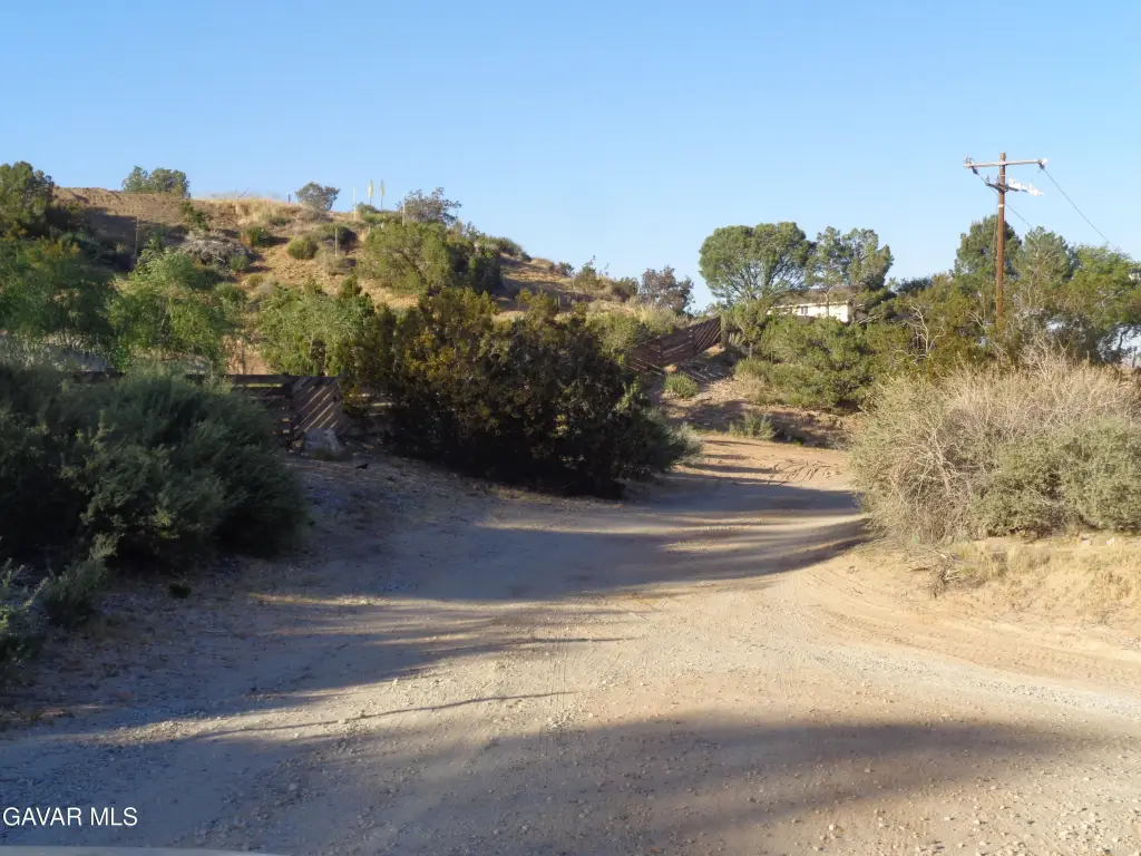 Picture 11