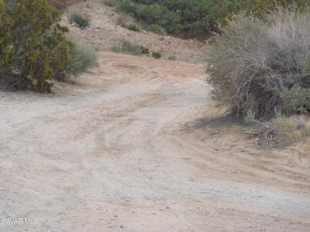 Picture 16