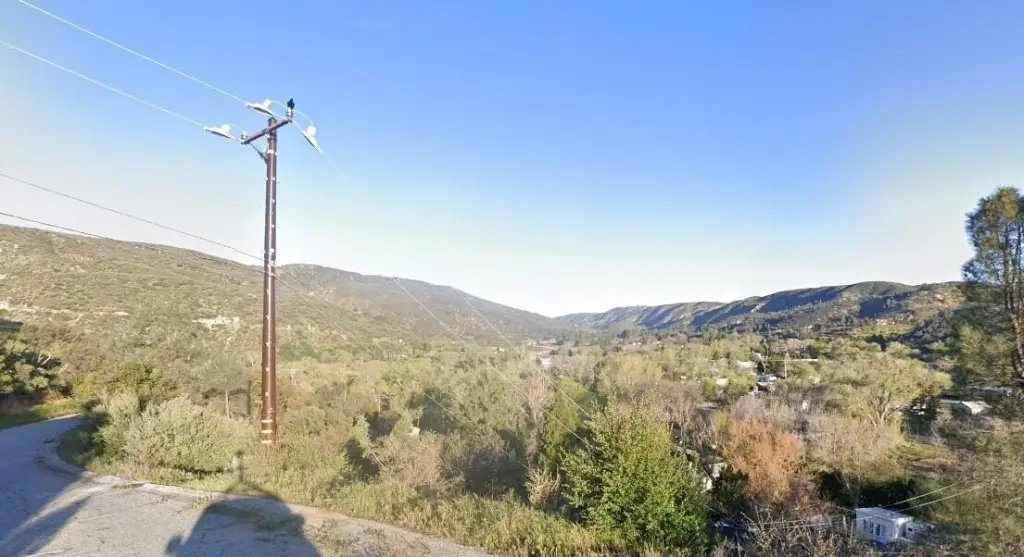 Picture 13
