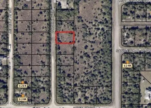 Vacant Lot in Palm Bay