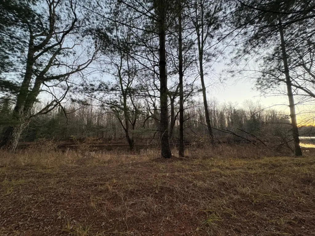 Picture 14