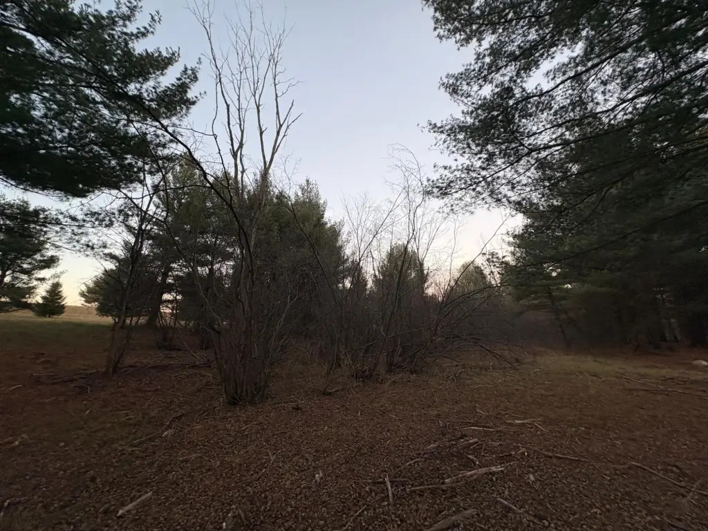 Picture 11
