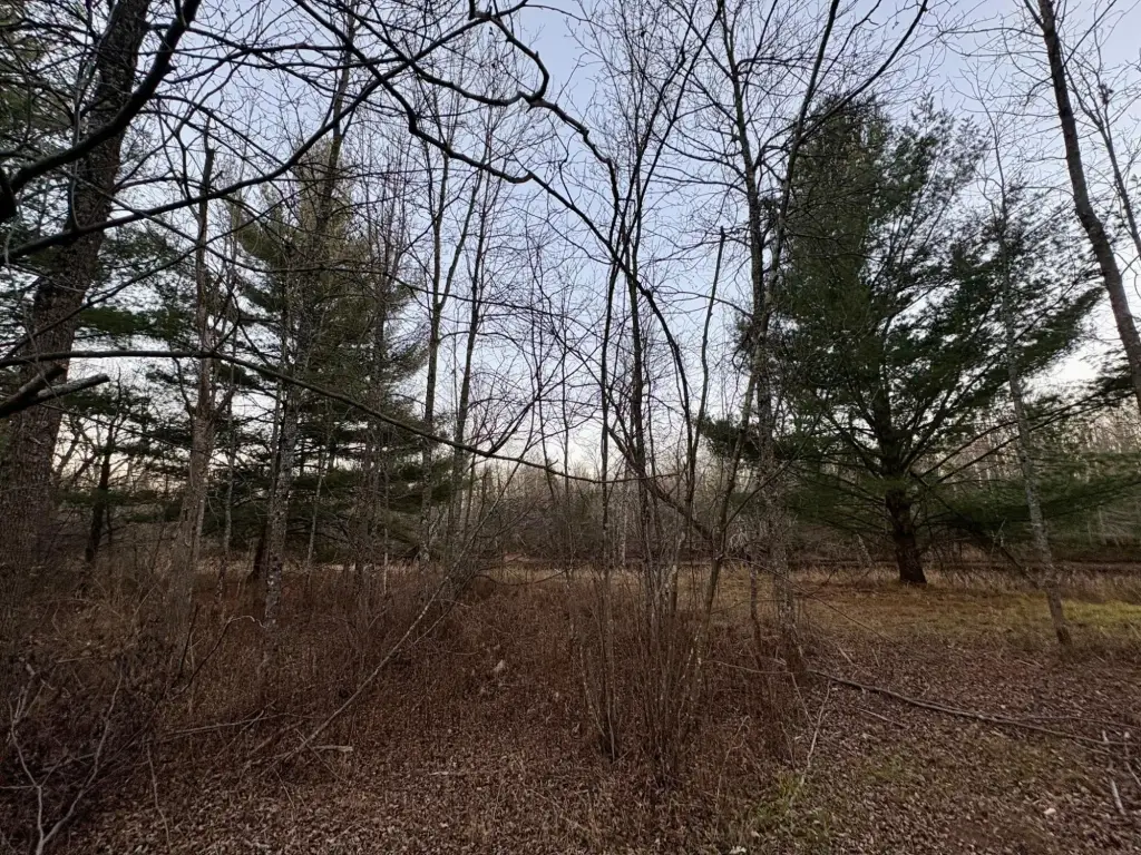 Picture 7