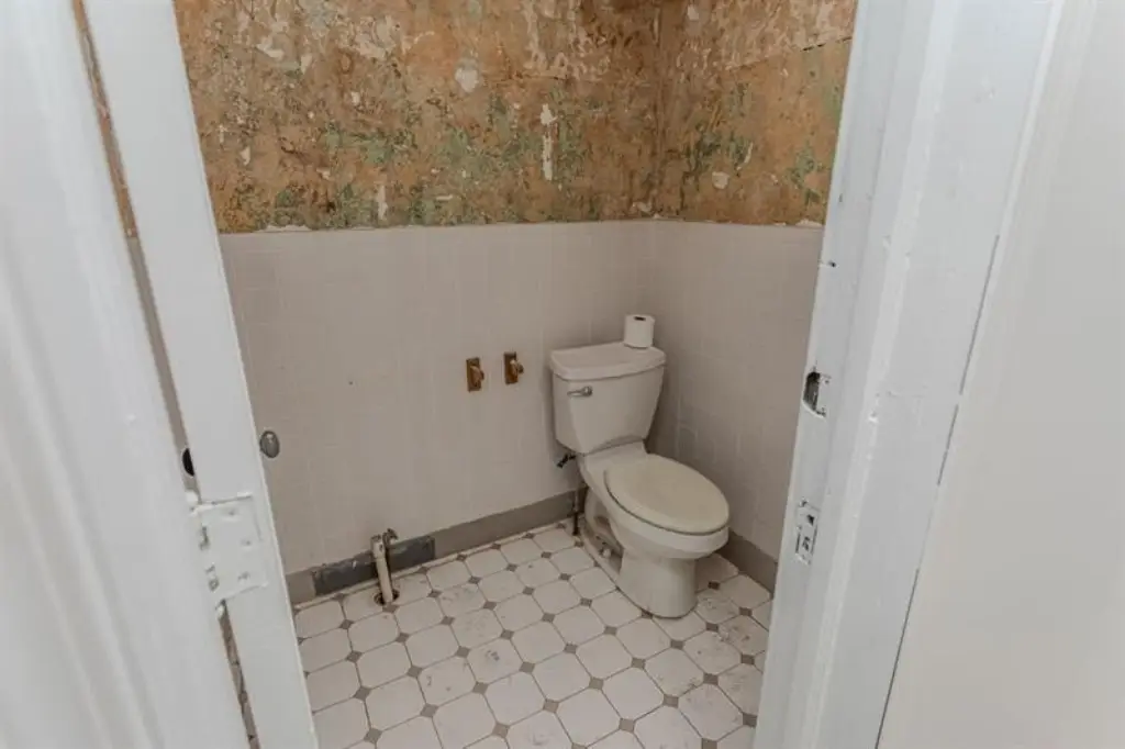 Picture 46