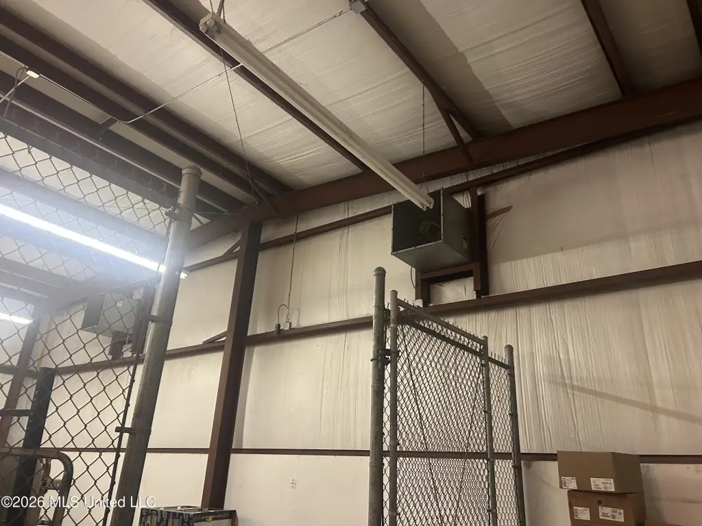 Picture 6