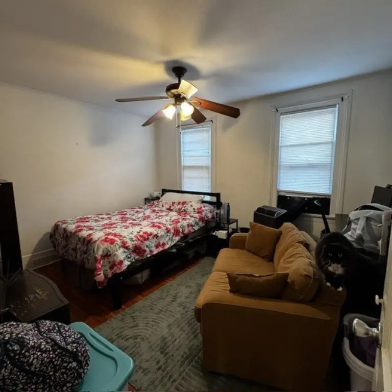 Picture 14
