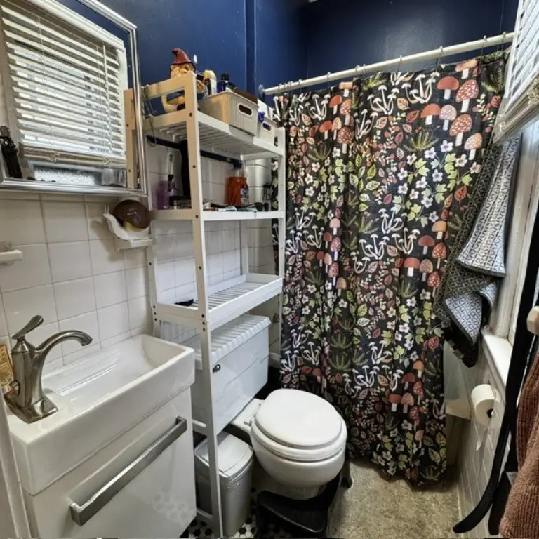 Picture 11