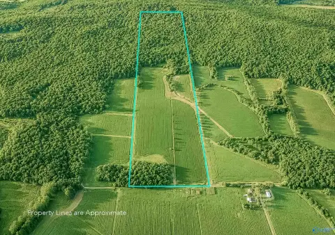 Recreational Farmland Tract